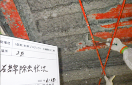 除去作業完了